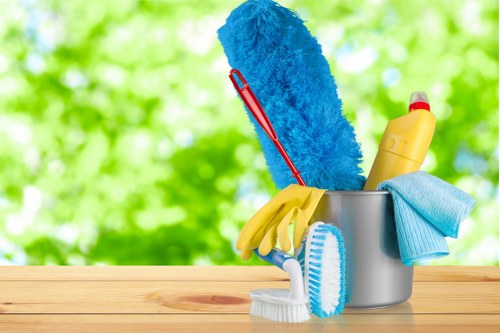 Carpet cleaning quote process for a Grove Park property