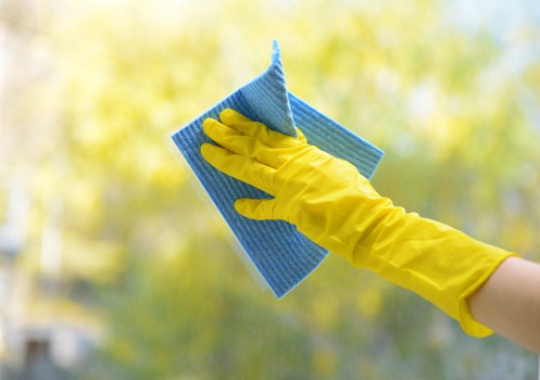 Carpet cleaning team using sustainable practices in Grove Park