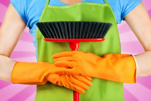 Professional carpet cleaning process in progress inside a home