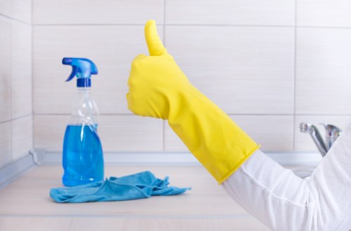 Deep cleaning treatment for pet stains and odours in Grove Park