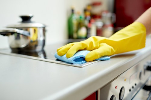 Grove Park carpet cleaners removing deep dirt and stains